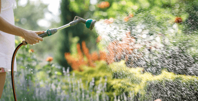 Regenwassernutzung im Garten