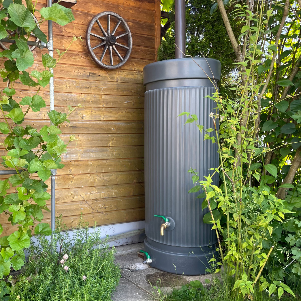 Regentonne Aqua 300 L