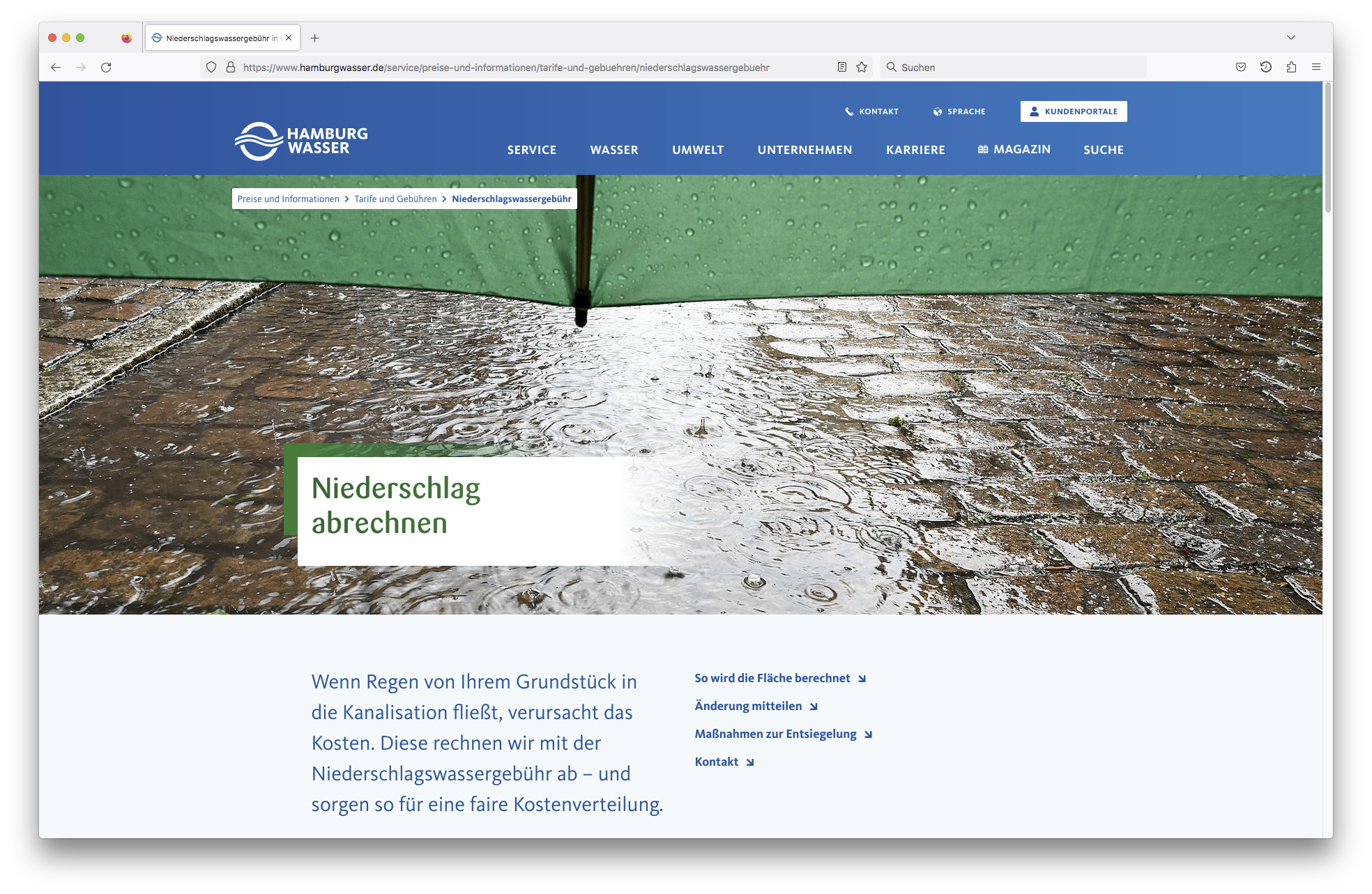 Förderprogramm Website